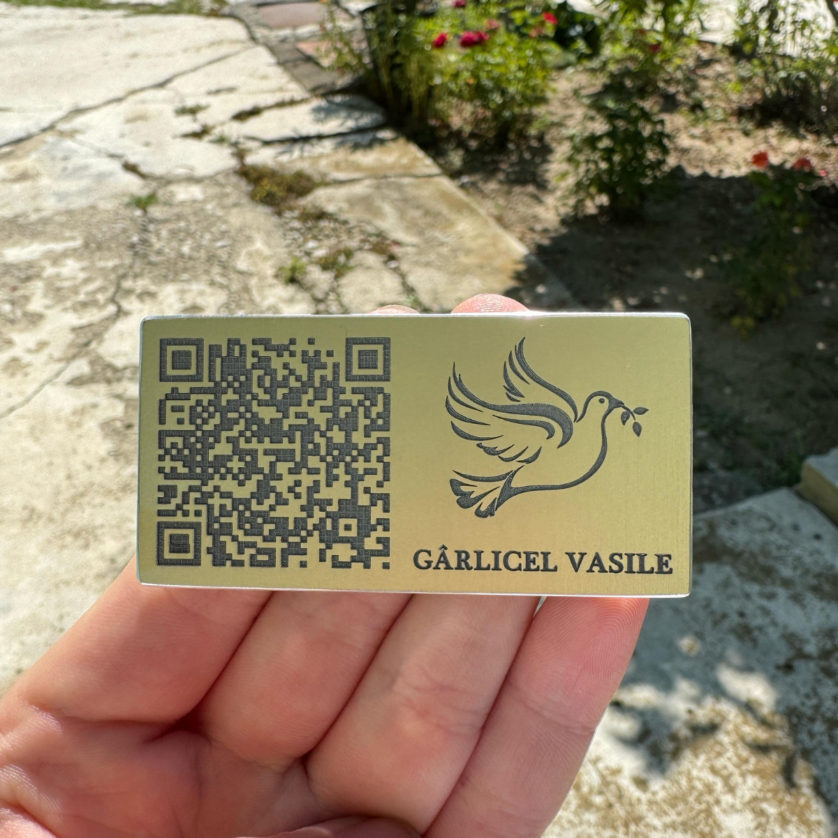 Perpetua - Codul Iubirii