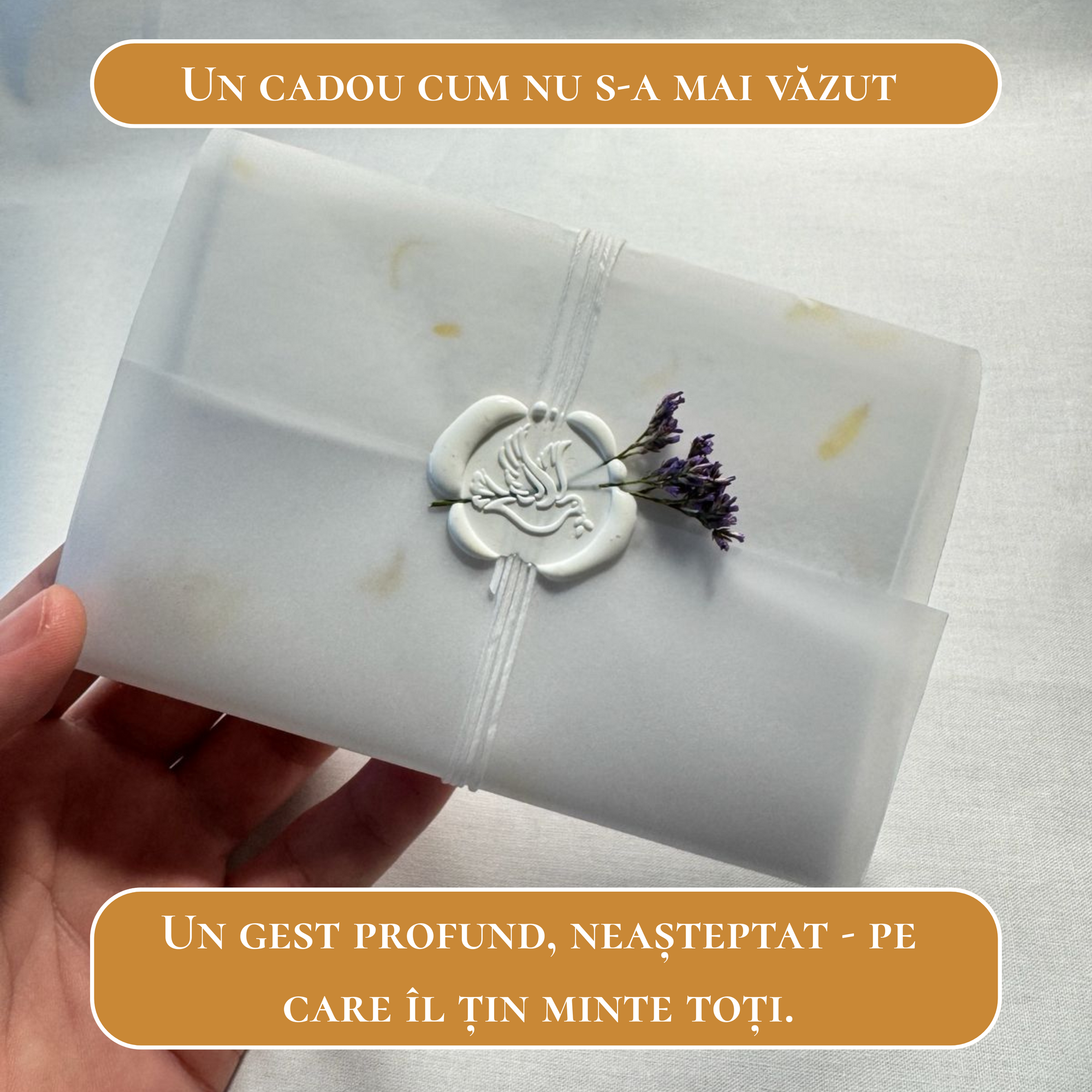Perpetua - Codul Iubirii
