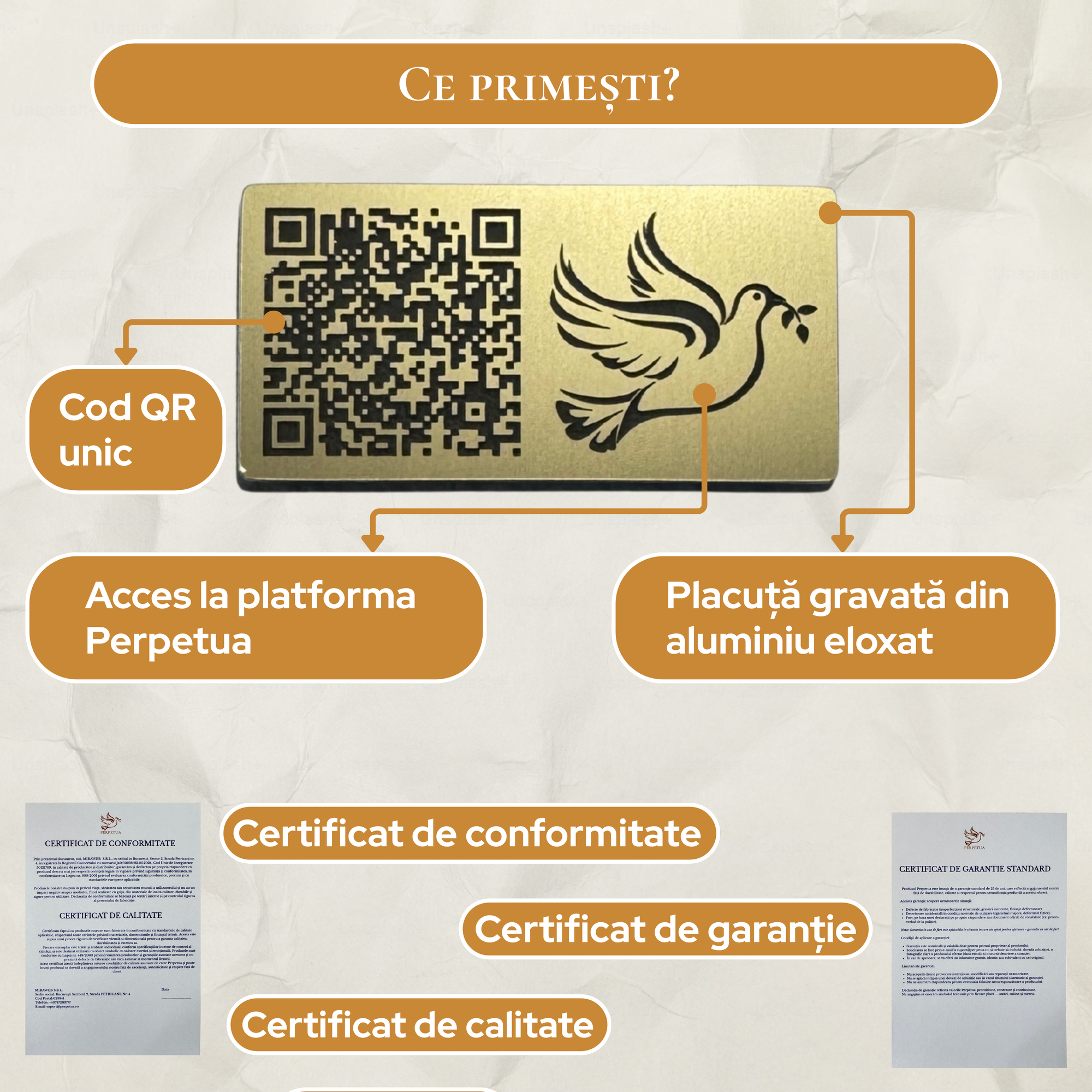 Perpetua - Codul Iubirii