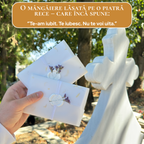 Perpetua - Codul Iubirii